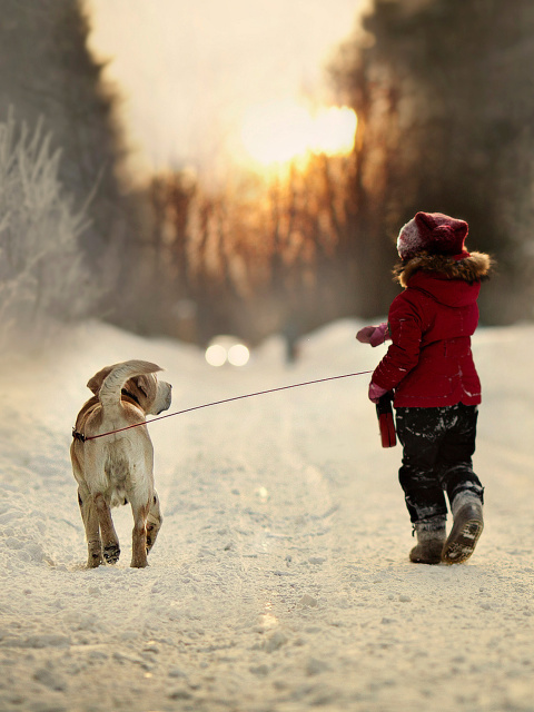 Winter Walking with Dog wallpaper 480x640