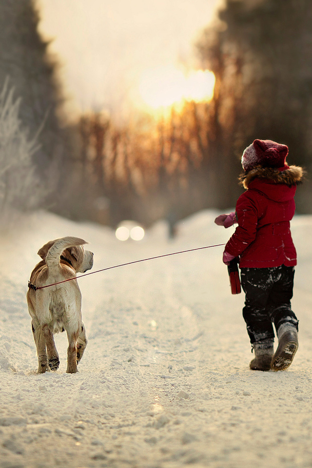 Das Winter Walking with Dog Wallpaper 640x960