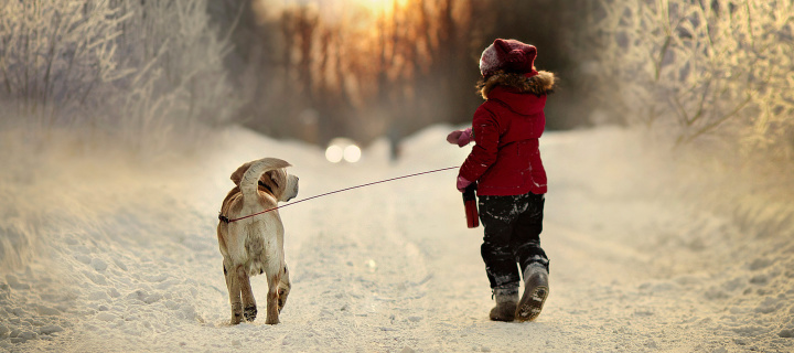 Winter Walking with Dog wallpaper 720x320