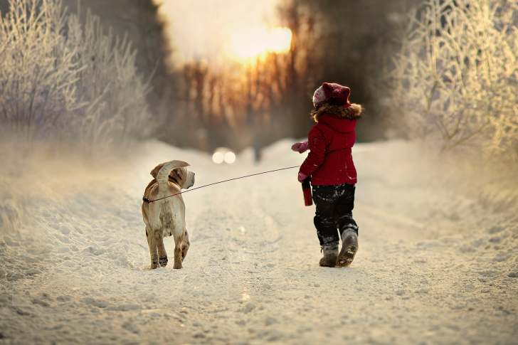 Обои Winter Walking with Dog
