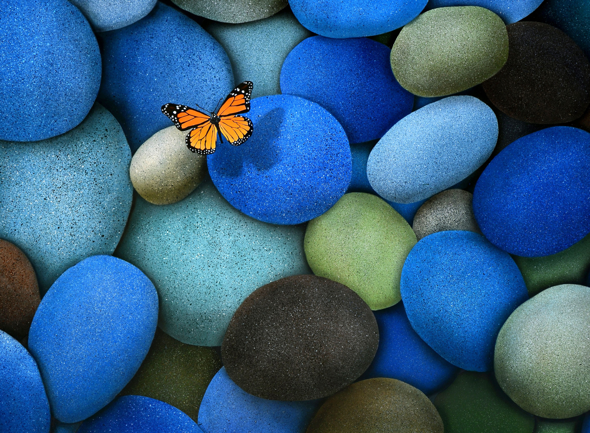 Fondo de pantalla Orange Butterfly On Blue Stones 1920x1408