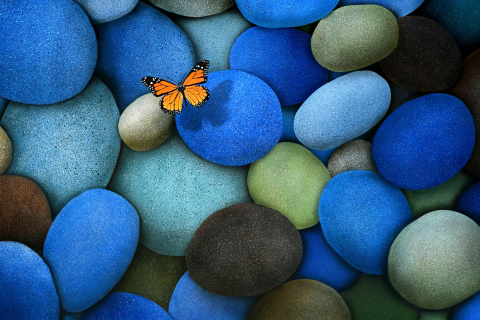 Orange Butterfly On Blue Stones wallpaper 480x320