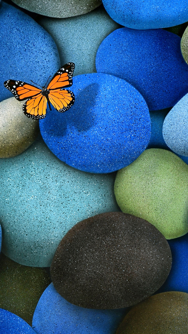Orange Butterfly On Blue Stones wallpaper 640x1136