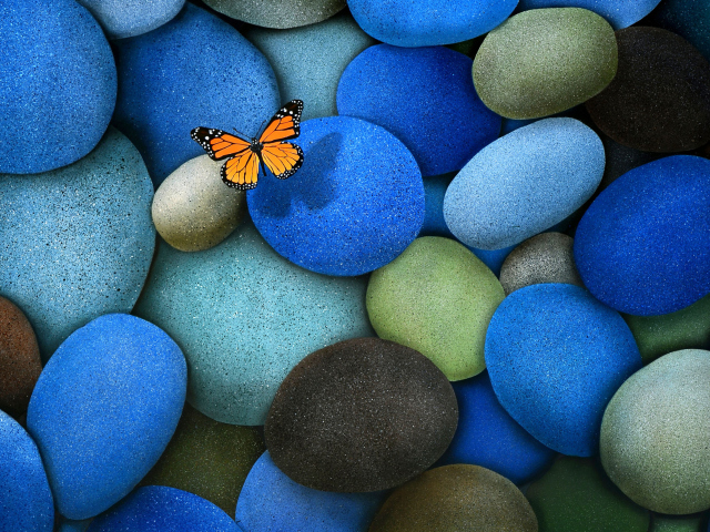 Orange Butterfly On Blue Stones wallpaper 640x480