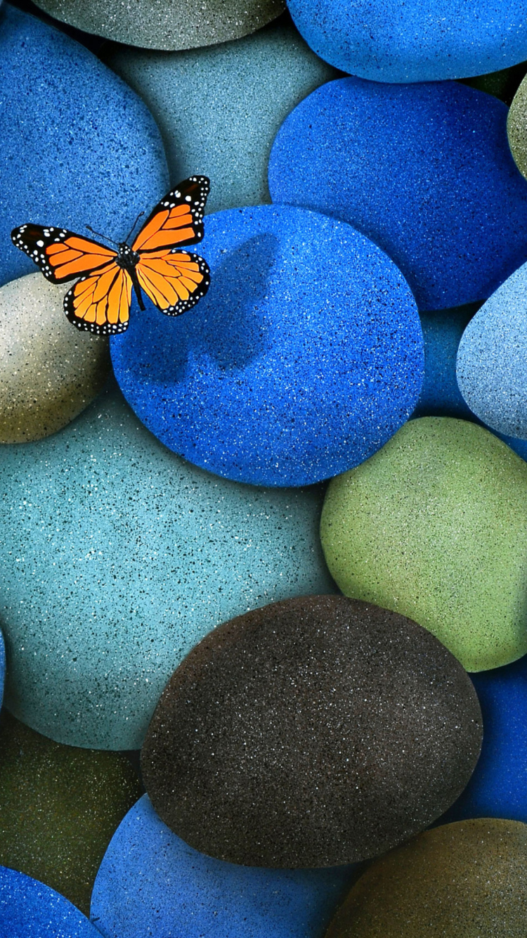 Das Orange Butterfly On Blue Stones Wallpaper 750x1334