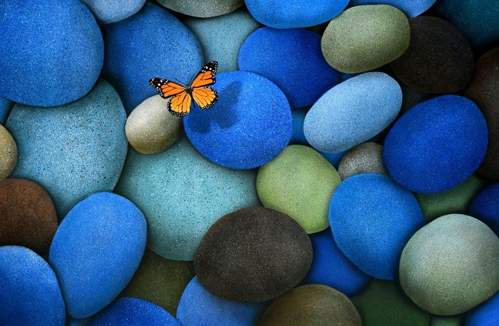 Orange Butterfly On Blue Stones wallpaper