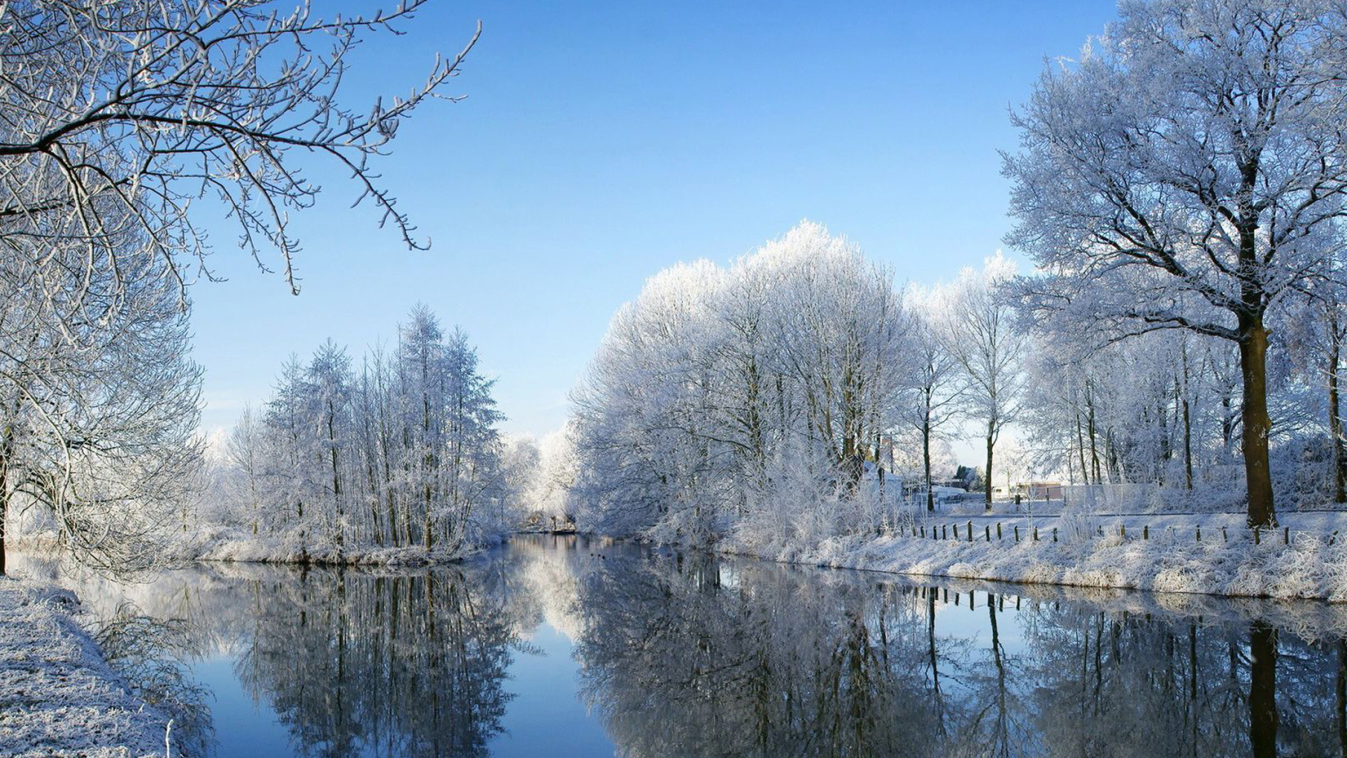 Sfondi Snowy Forest 1920x1080