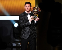 Lionel Messi Football Star wallpaper 220x176