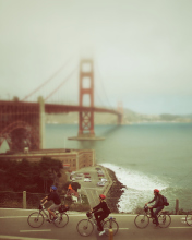 Biking In San Francisco wallpaper 176x220