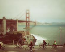 Biking In San Francisco wallpaper 220x176