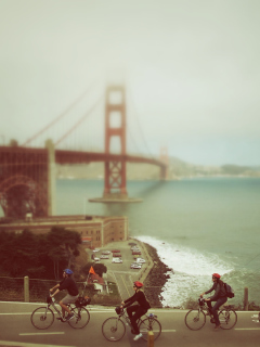 Fondo de pantalla Biking In San Francisco 240x320