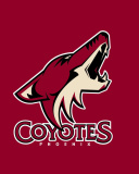 Обои Phoenix Coyotes NHL Team 128x160