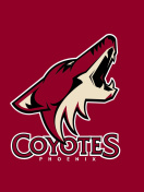 Phoenix Coyotes NHL Team screenshot #1 132x176