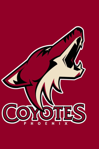 Fondo de pantalla Phoenix Coyotes NHL Team 320x480
