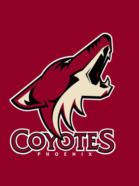 Fondo de pantalla Phoenix Coyotes NHL Team 480x640