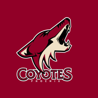 Phoenix Coyotes NHL Team - Obrázkek zdarma pro iPad