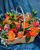 Обои Gerbera Bouquet 128x160