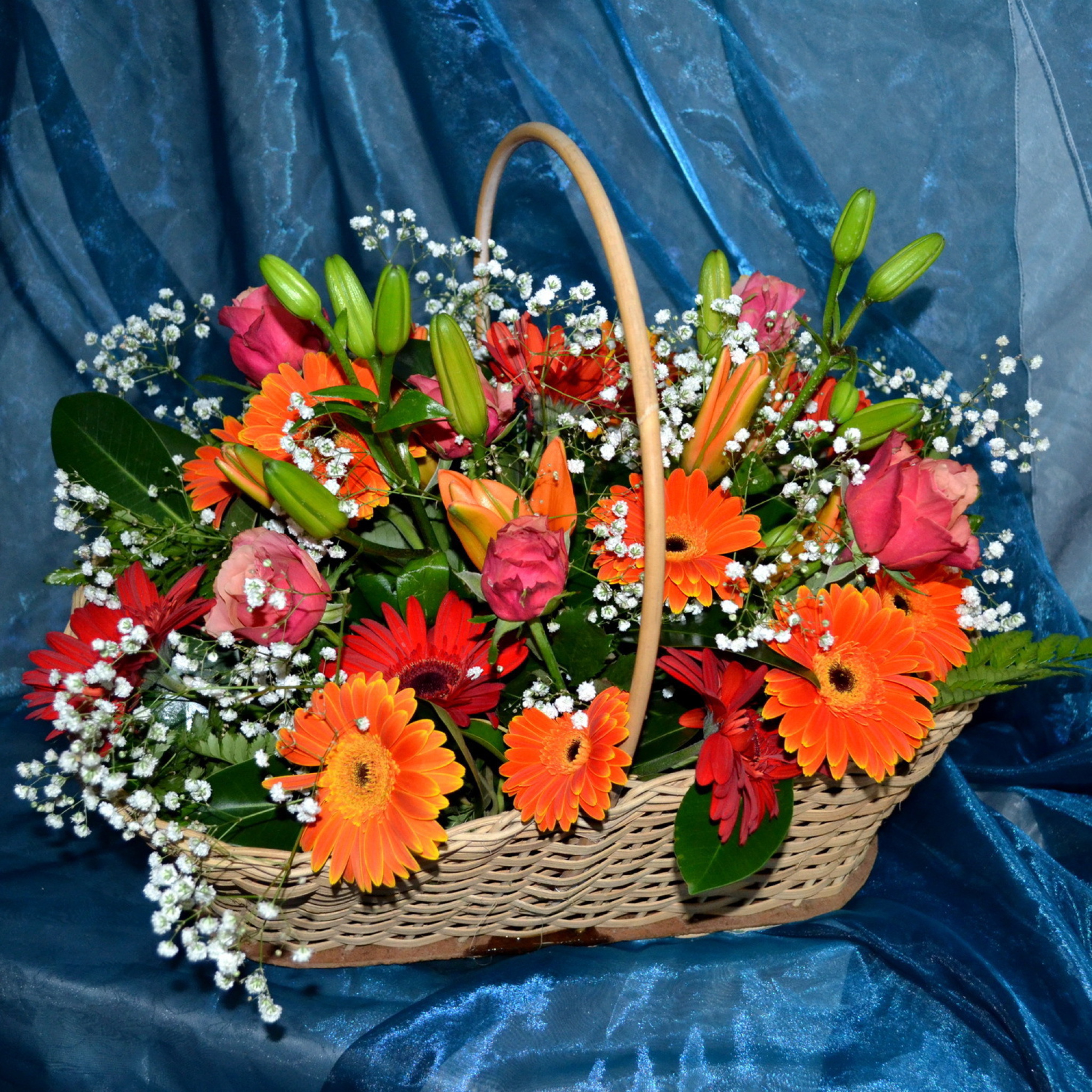 Fondo de pantalla Gerbera Bouquet 2048x2048