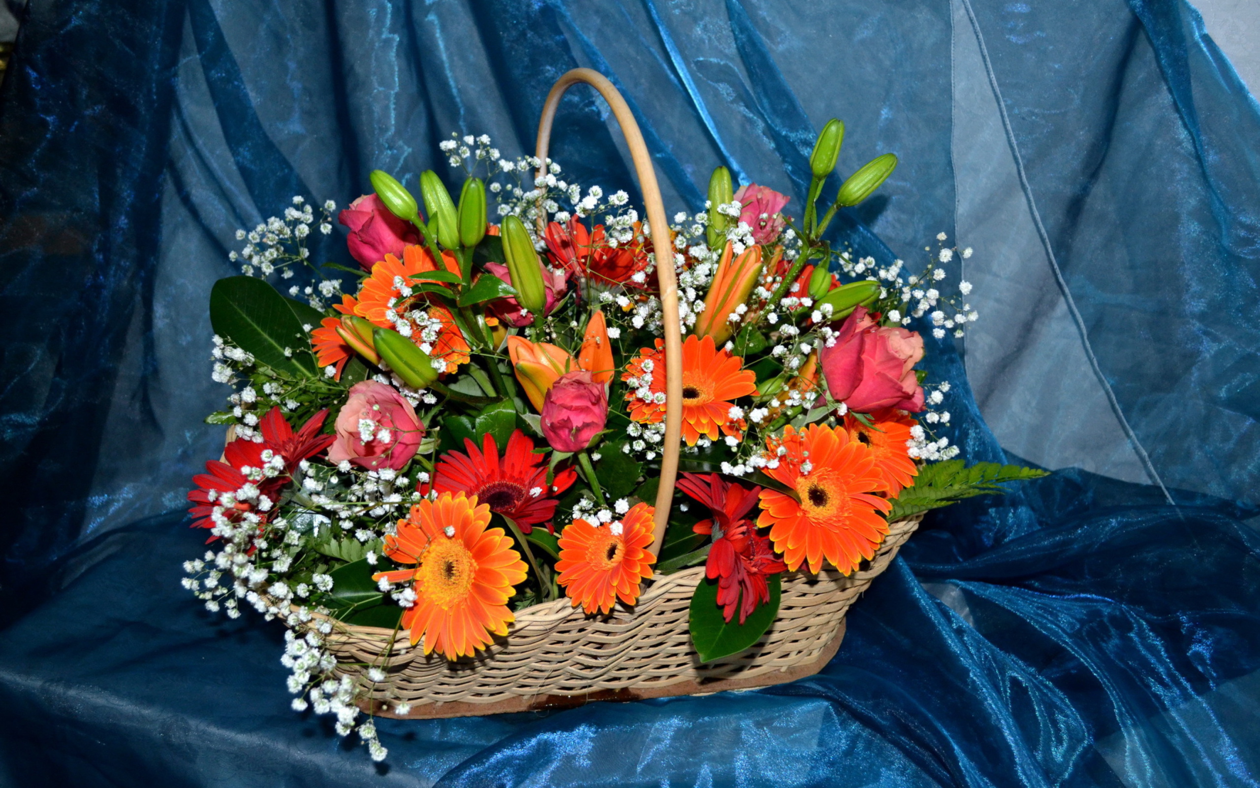 Обои Gerbera Bouquet 2560x1600