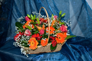 Gerbera Bouquet - Obrázkek zdarma pro 176x144