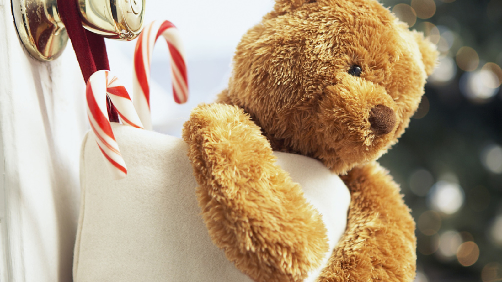 Fondo de pantalla Xmas Bear 1600x900