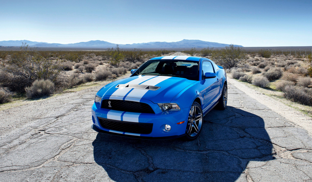 Обои Blue Ford Mustang GT 1024x600