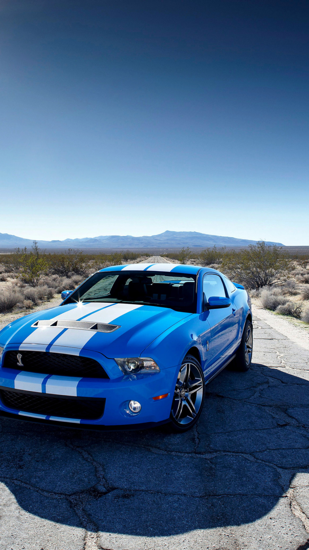 Обои Blue Ford Mustang GT 1080x1920