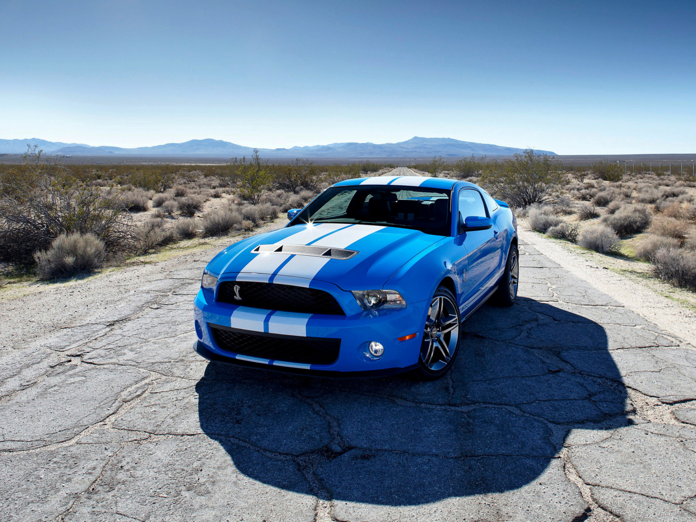 Blue Ford Mustang GT wallpaper 1400x1050