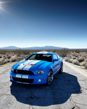 Blue Ford Mustang GT wallpaper 176x220