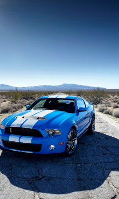 Обои Blue Ford Mustang GT 240x400