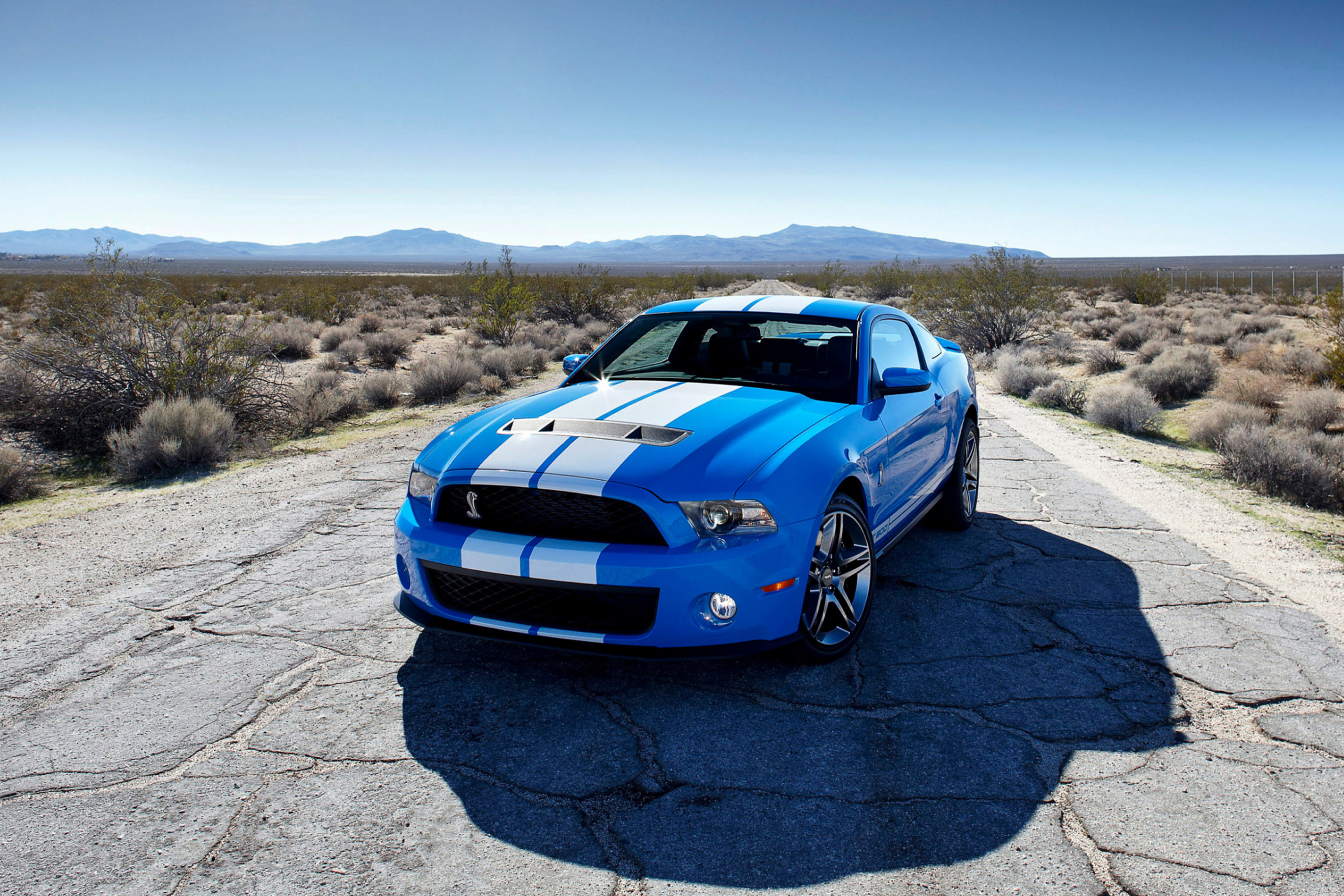 Fondo de pantalla Blue Ford Mustang GT 2880x1920