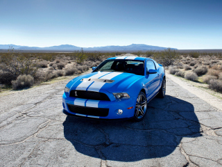 Обои Blue Ford Mustang GT 320x240