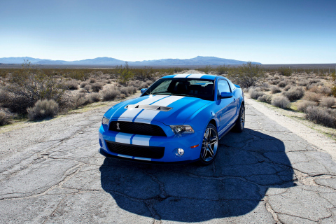 Blue Ford Mustang GT screenshot #1 480x320