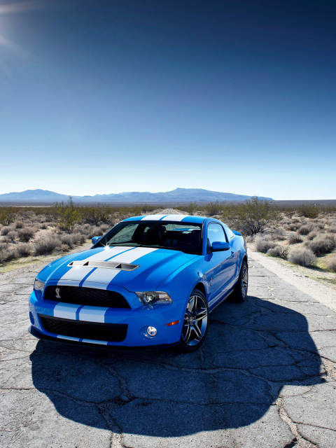 Blue Ford Mustang GT screenshot #1 480x640