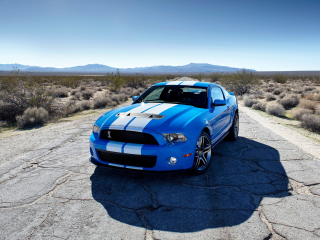 Обои Blue Ford Mustang GT 640x480