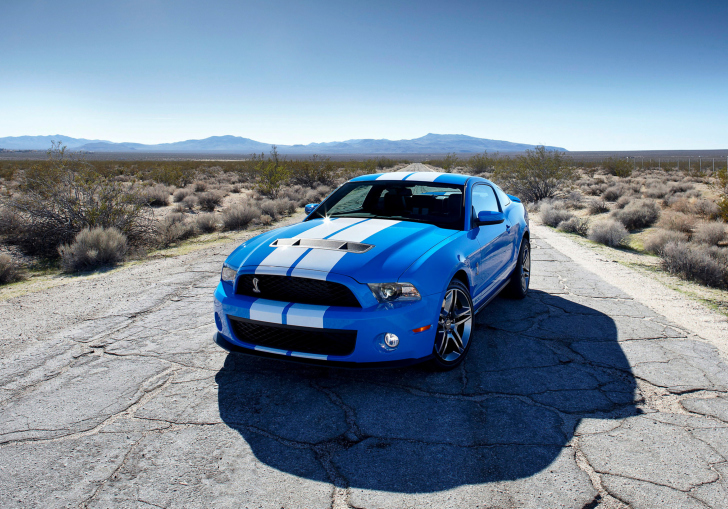Обои Blue Ford Mustang GT