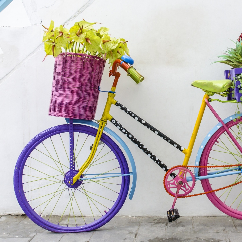 Обои Flowers on Bicycle 1024x1024