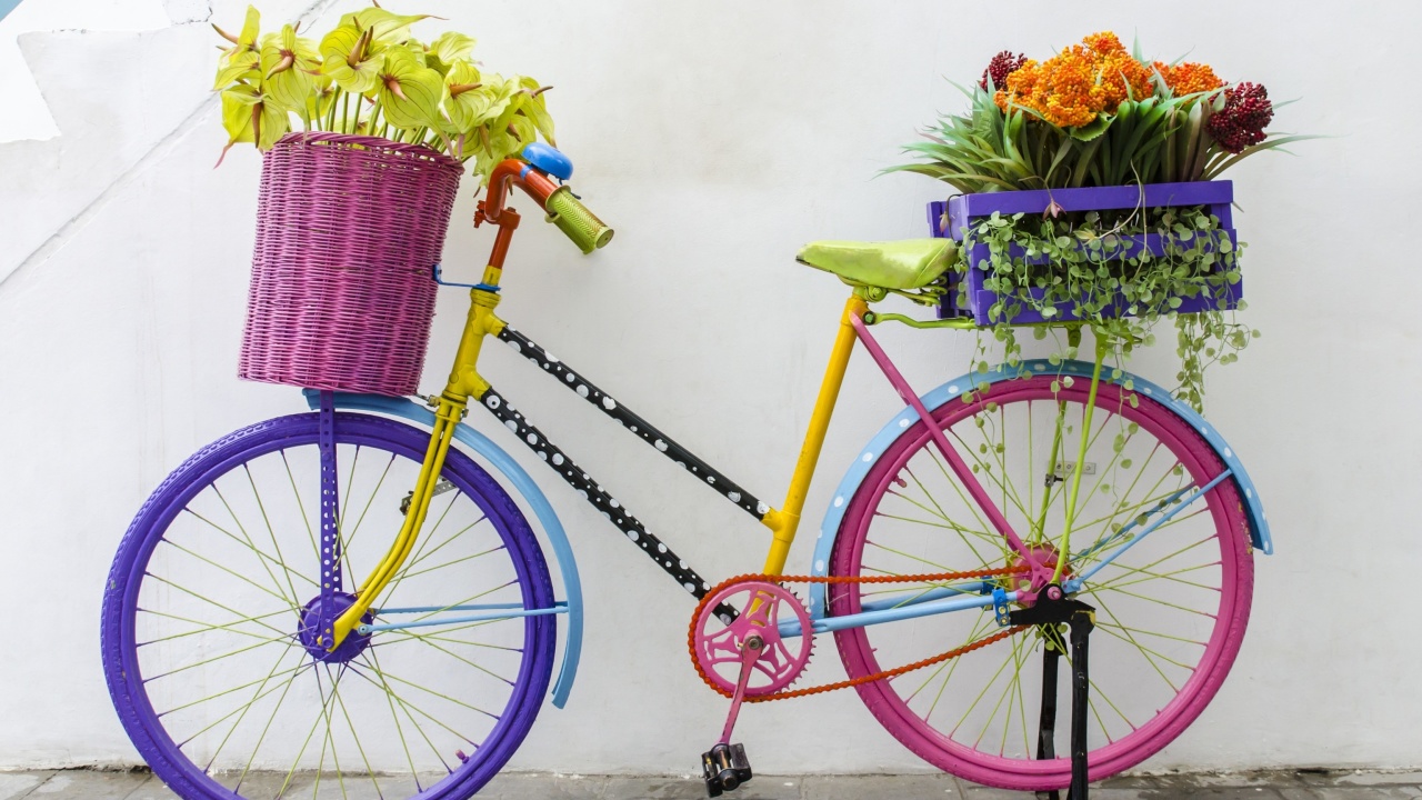 Das Flowers on Bicycle Wallpaper 1280x720