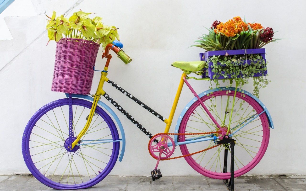 Sfondi Flowers on Bicycle 1280x800
