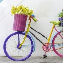 Das Flowers on Bicycle Wallpaper 128x128