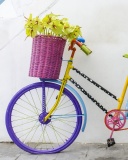 Das Flowers on Bicycle Wallpaper 128x160