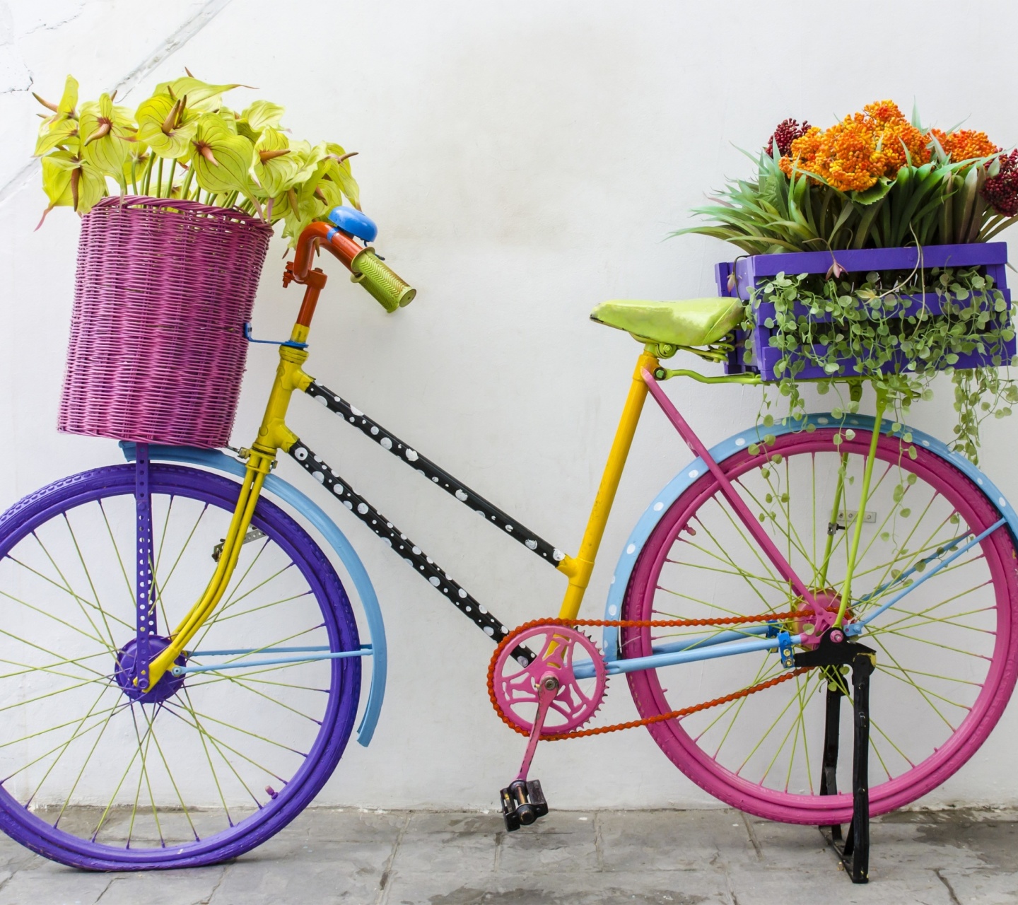 Das Flowers on Bicycle Wallpaper 1440x1280