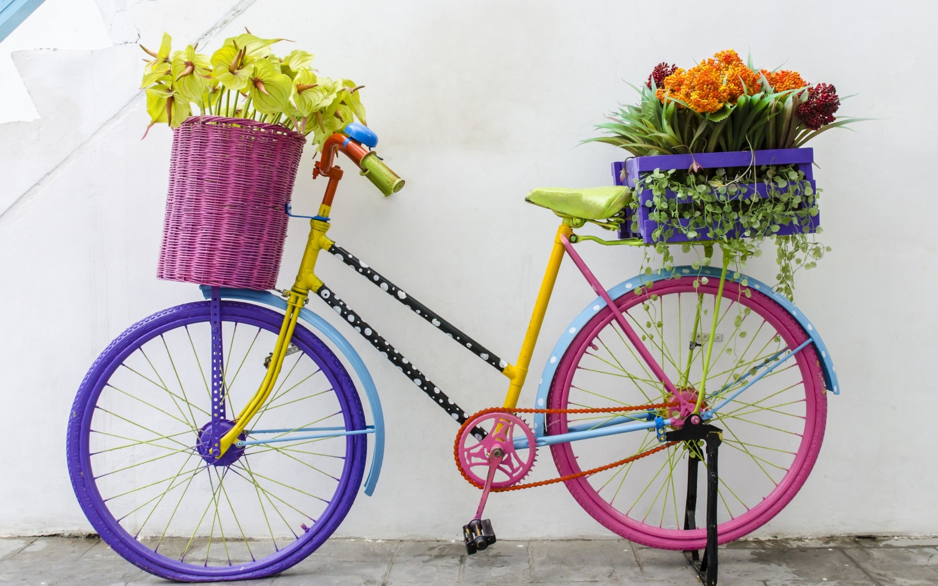 Das Flowers on Bicycle Wallpaper 1920x1200