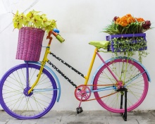 Das Flowers on Bicycle Wallpaper 220x176