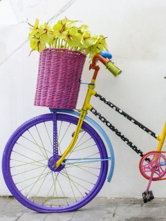 Flowers on Bicycle wallpaper 240x320