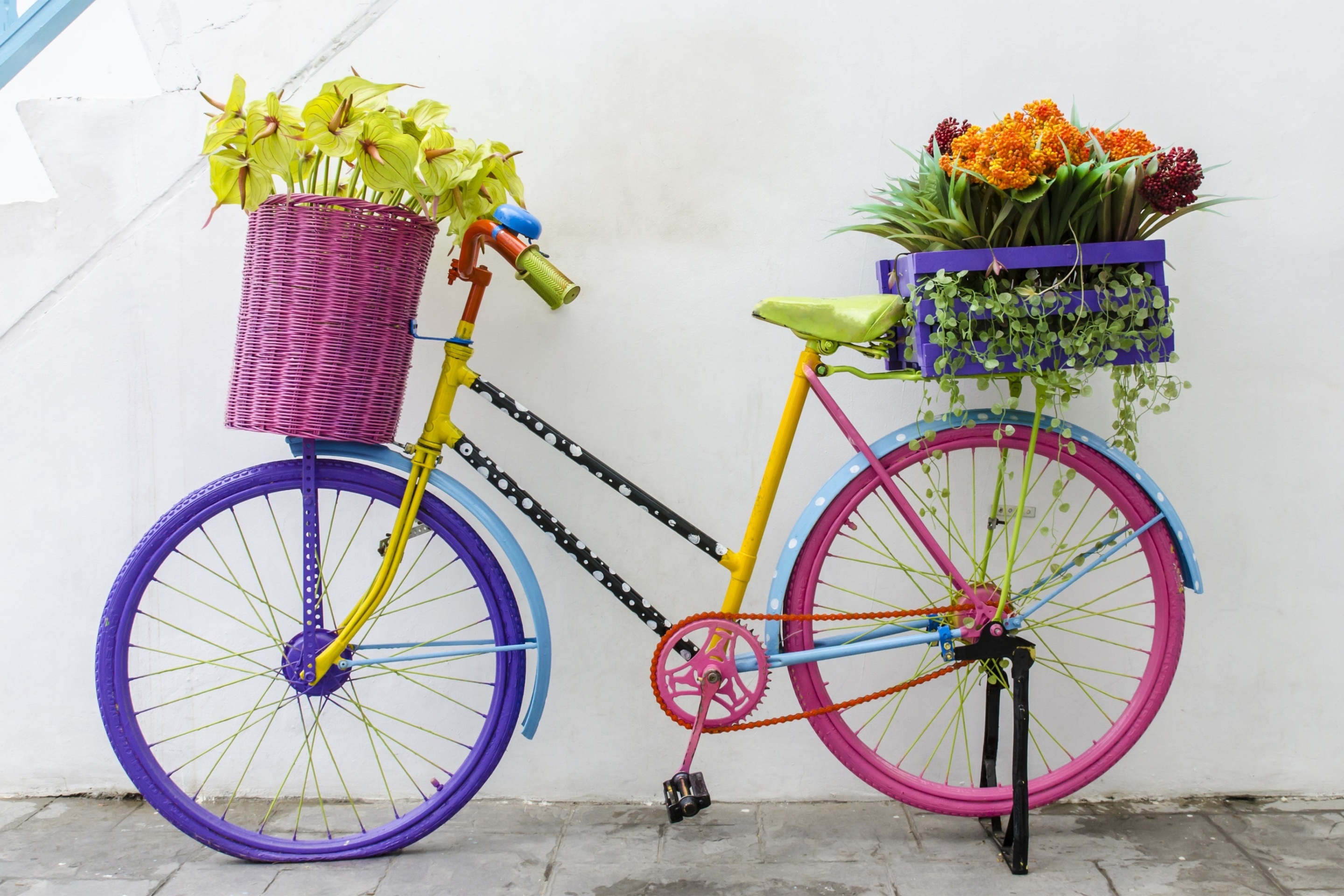 Das Flowers on Bicycle Wallpaper 2880x1920