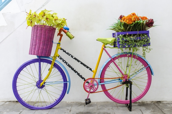 Flowers on Bicycle wallpaper