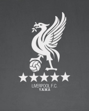 Screenshot №1 pro téma Liverpool Fc Ynwa 176x220