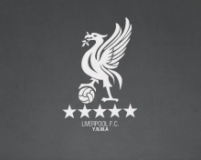 Das Liverpool Fc Ynwa Wallpaper 220x176