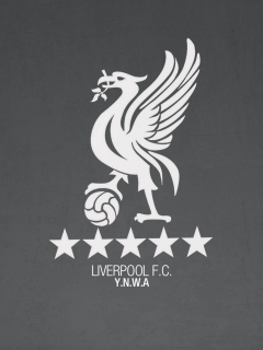 Fondo de pantalla Liverpool Fc Ynwa 240x320